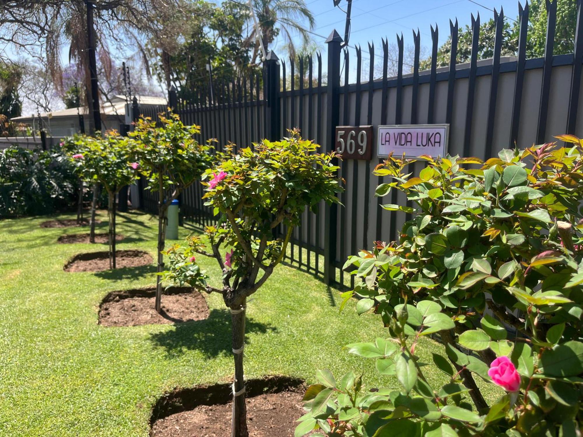 La Vida Luka - Luxury Guesthouse Pretoria-Noord Eksteriør billede